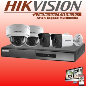 produits attoh DS-J142I(STD) NK42E3H-1T(WD)